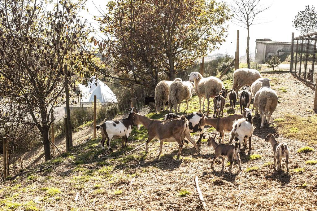 Azienda Agrituristica Alcastle Montabone Zewnętrze zdjęcie