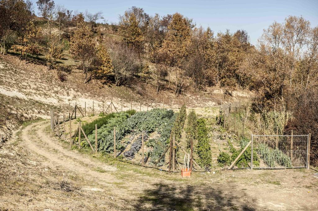 Azienda Agrituristica Alcastle Montabone Zewnętrze zdjęcie
